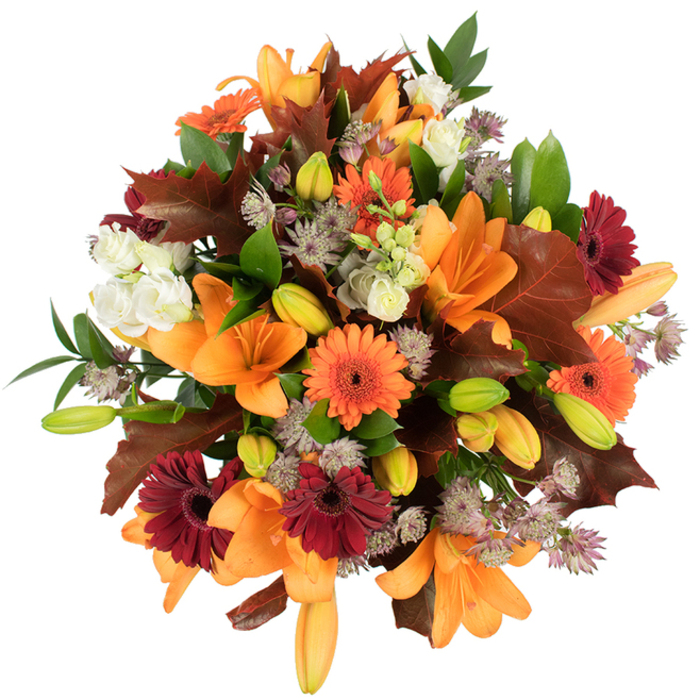 A lush, carefully composed autumn bouquet photographed from above against a pure white backdrop, where every flower and leaf reads like a page from the season. At the center, several large orange Asiatic lilies open fully, their broad, satiny petals curling outward and catching the light, while many small, tightly closed buds in pale orange and bright green hint at unfolding blooms. Scattered throughout are vibrant orange Gerberas and deep burgundy-red Gerberas with distinct dark centers that add rustic cheer; between them, clusters of cream-white Lisianthus (or mini roses) impart softness with their ruffled, layered petals. Textural complexity comes from muted purple Astrantia-spidery, star-shaped filler flowers that create delicate pockets of air and fine detail. The design is punctuated by several sizable, lobed leaves in warm reddish-brown tones, reminiscent of fallen oak or maple, placed to emphasize the harvest mood. Fresh green leaves and narrow stems weave beneath and around the blooms, giving the arrangement structure and a lively contrast to the autumnal palette. The bouquet's tight, rounded form and bright, evenly lit presentation make colors and textures vivid: satiny orange, deep wine-red, soft ivory, purple-grey and fresh green all harmonise. As a local florist familiar with Ruislip Manor and surrounding neighbourhoods, I see this as an ideal choice for seasonal centrepieces, a thoughtful gift for friends gathering at home, or a comforting arrangement for autumn anniversaries. The overall impression is warm, abundant and expertly balanced-an ode to fall's richness and quiet celebration.